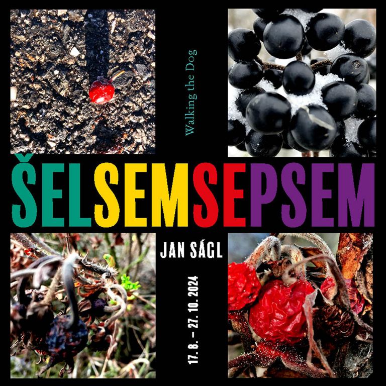 Jan Ságl / Šel sem se psem 